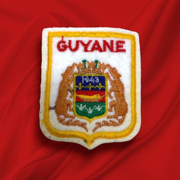 Vintage 80s Guyane Anteater Crest Souvenir Travel Iron On Patch French Guiana - Picture 1 of 3